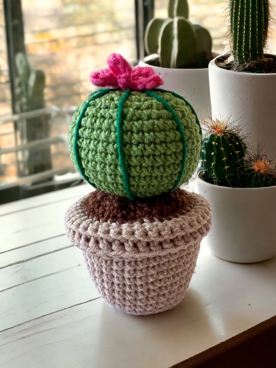 Cactus 🌵 

#theresascrochethook #crochetpreneur #theresascrochetjourney #crochet #crochetlove #crocheting #crochethook #yarn #handmadewithlove #amigurumi #fiberart #crochetaddict #ilovecrochet #yarnlover #crocheteveryday