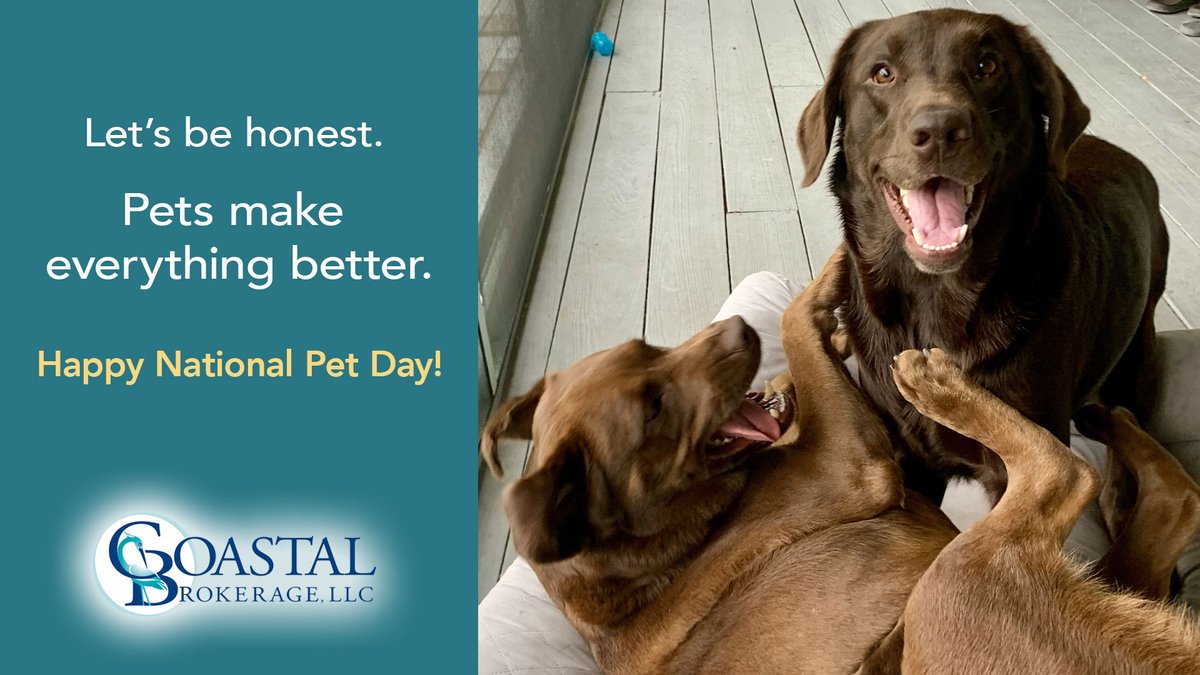 Celebrating National Pet Day! From one pet lover to another. #petlove #nationalpetday #furbabies #adoptashelterpet #doglife