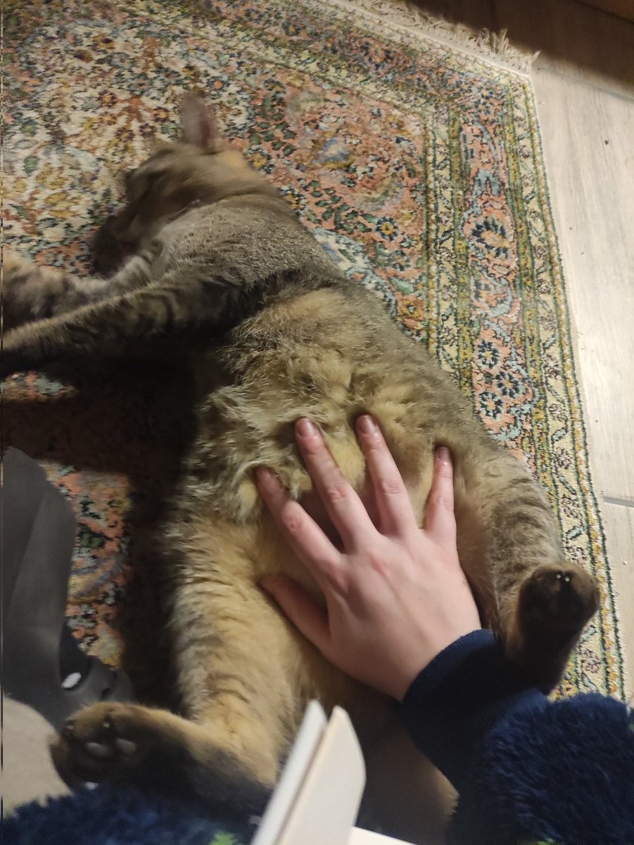 cozzapermalosa's tweet photo. @Rossa24394256 Ci stiamo divertendo qui! Anche se, quando sente il mio stomaco muoversi, si spaventa... https://t.co/nN44grwi9s