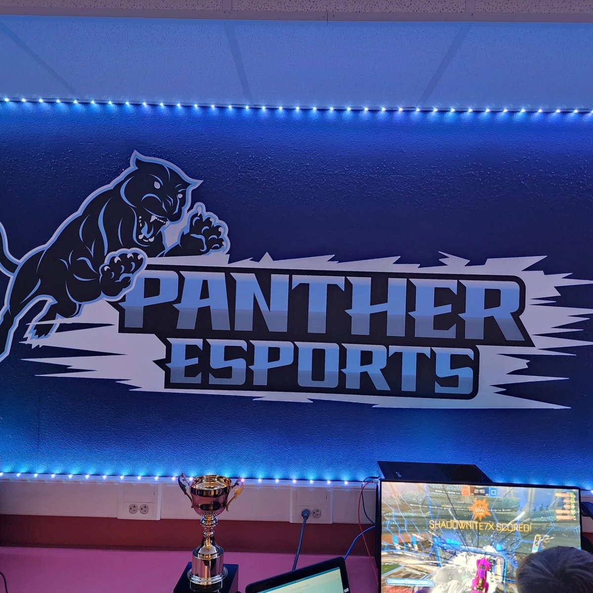 Robin Young, M. Ed. tweet media