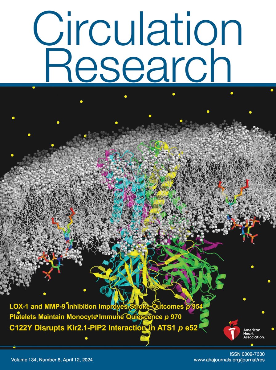 @CircRes April 12th Issue is Out! ahajournals.org/journal/res Cover: Schematic of the mutant Kir2.1 channel embedded within a lipid bilayer, illustrating the reduced binding capacity of Kir2.1C122Y channel to rainbow-colored PIP2 molecules ;K+ ions-yellow dots.