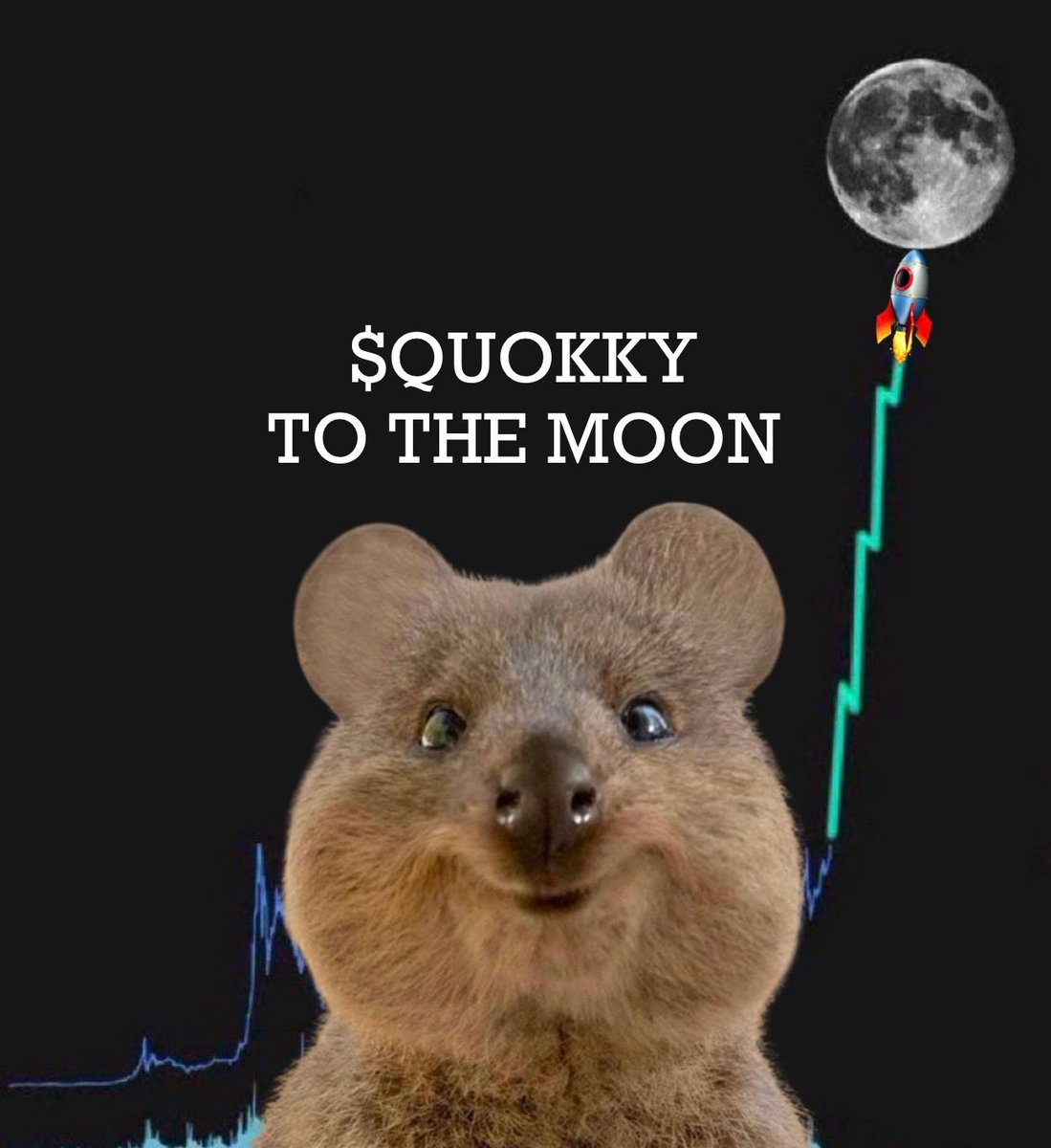 Quokkycoin's tweet photo. @itsFoxCrypto $QUOKKY https://t.co/oEOXnsMCwN
