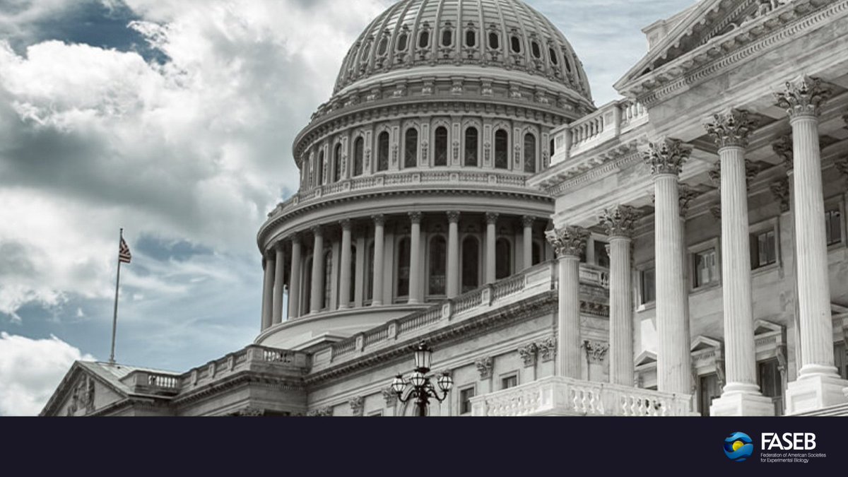 Looking to stay informed on the most recent developments in #science policy and regulation? Check out the Washington Update 📰 for all the latest information: hubs.ly/Q02stCx40 #scipol