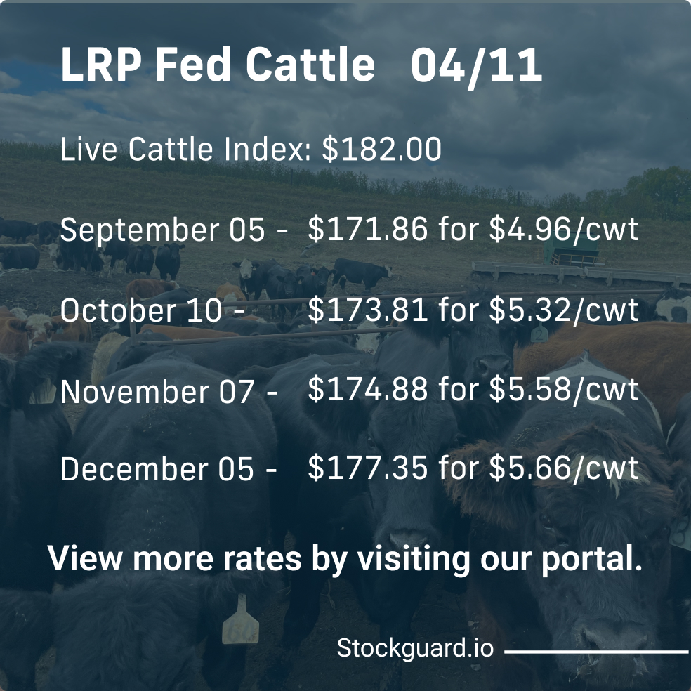 Stockguardinfo's tweet photo. Thursday, April 11th LRP Rates: Stay current on today's live and feeder cattle rates–don't fall behind on the market! View live rates: https://t.co/iKhfpjgm2a

#LivestockRiskManagement #RiskManagementTools #LivestockSafety #FarmersProtection #LivestockInsurance https://t.co/ol7diIVf1A