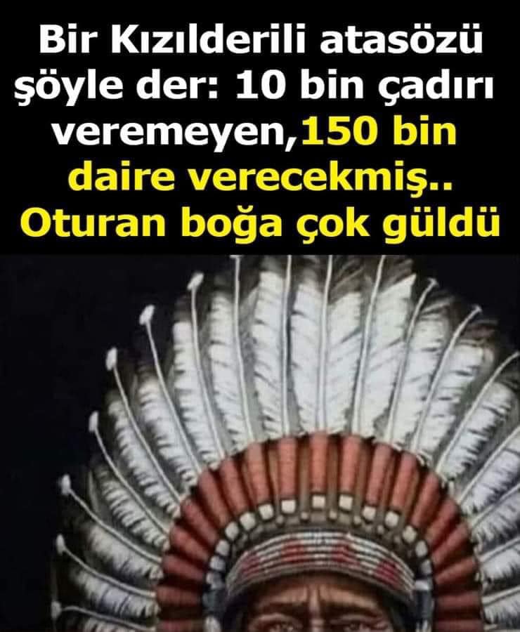 Oturan BOĞA çok güldü ... 😂😂😂