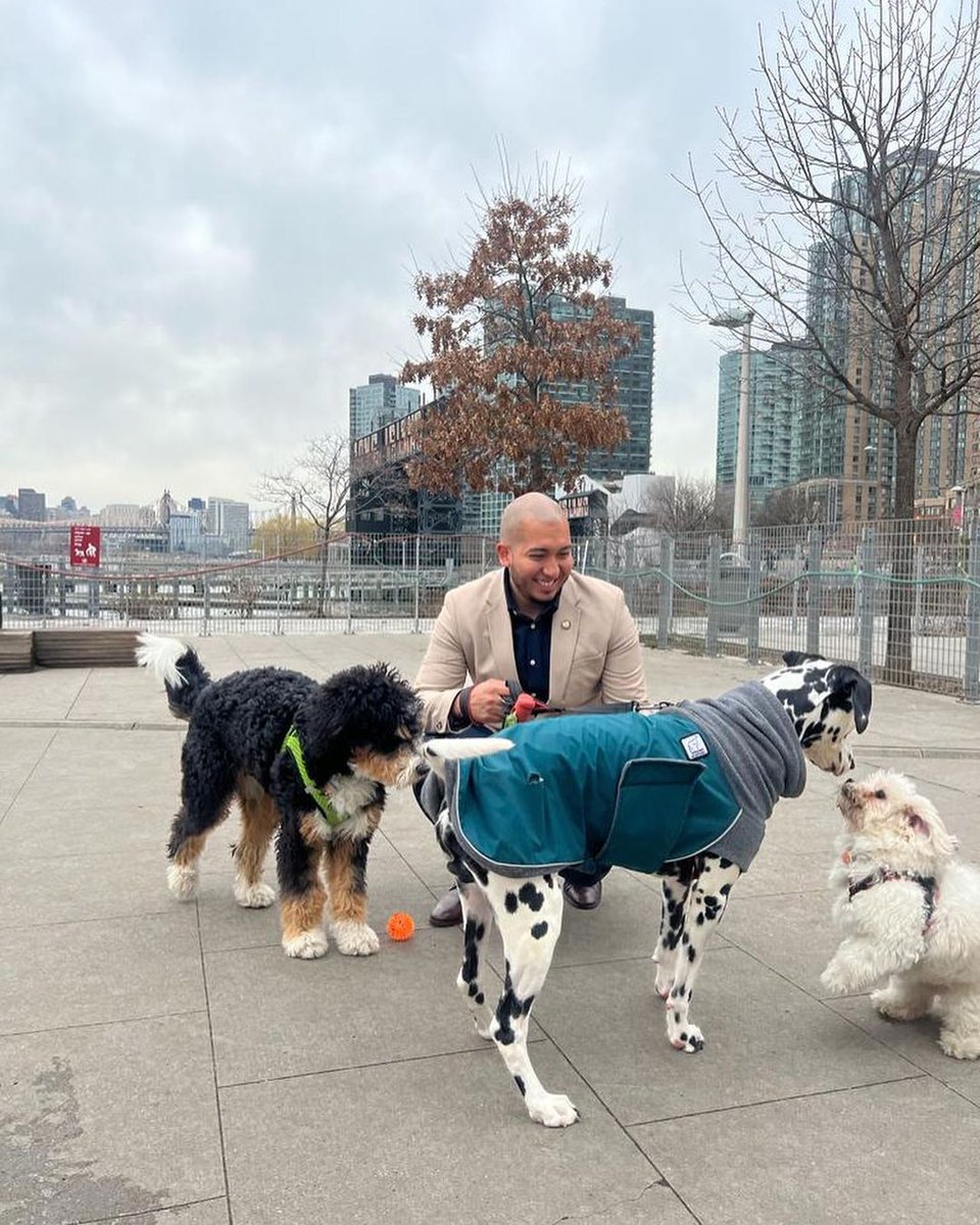 I get it, I'm a dog parent, and I know what it's like to take your furry ones out for a walk multiple times a day. But on #NationalPetDay, I want to remind all constituents to please pick up after your pets when outdoors. Lets work together to keep our neighborhoods sparkling!