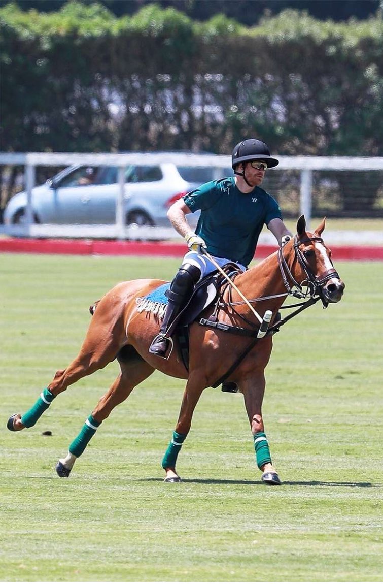 I’m not gonna lie, I’ll be doing a lot of thirsting during Harry’s polo series. I hope it features his brother Nacho.🔥🥵 #GoodKingHarry #LoveAlwaysWins