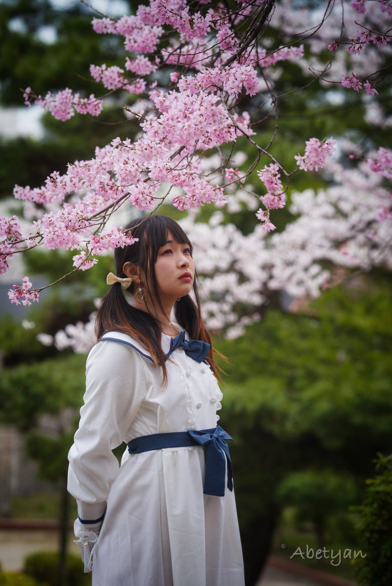 桜をあと何回見れるかな🌸

 #桜2024  #ポートレート 
 #ポートレートしま専科 
 #ポートレート好きな人と繋がりたい 
 #被写体になります 
 #写真で伝えたい私の世界 
 #写真好きな人と繋がりたい 
 #カメラマンさんと繋がりたい 
 #撮影依頼募集中