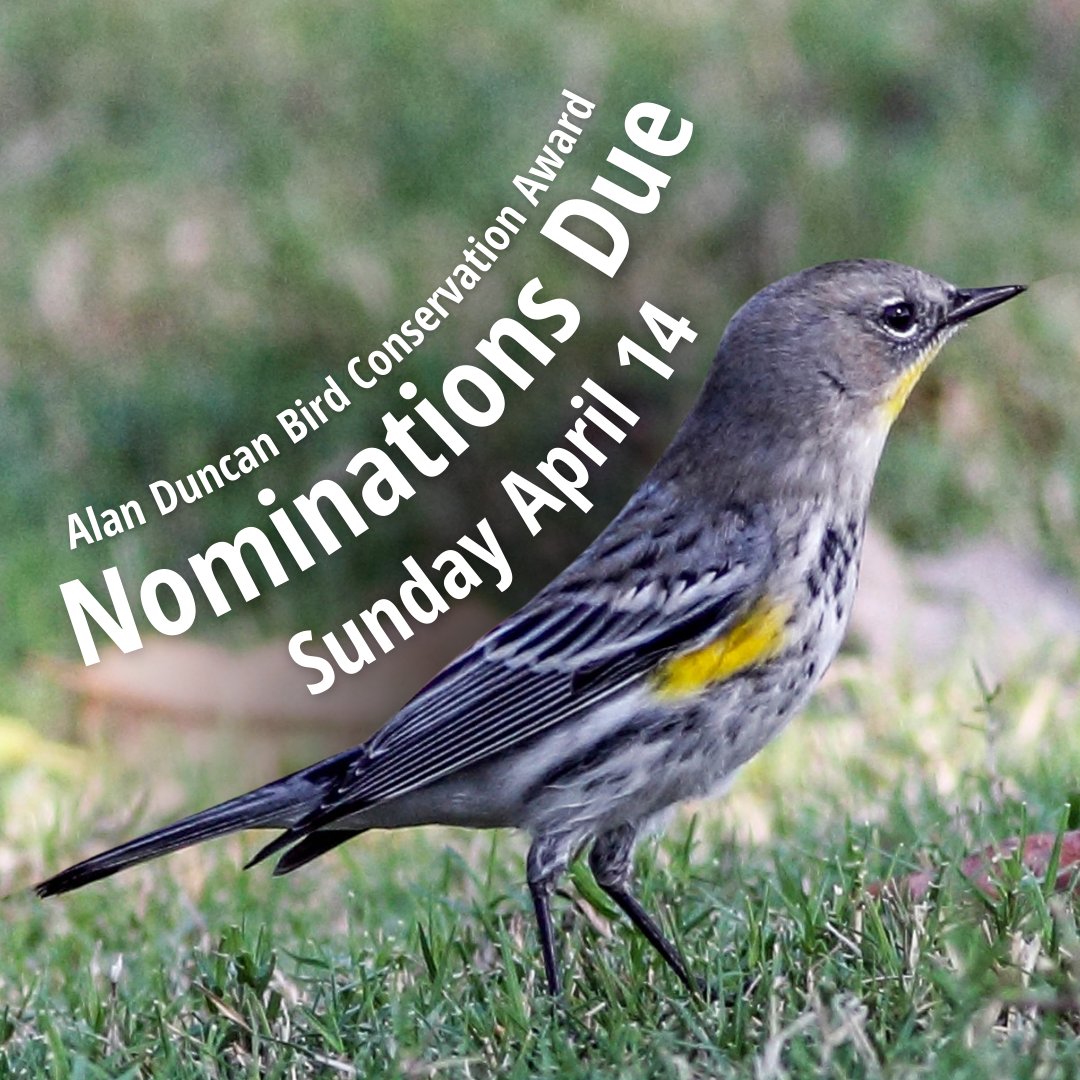 Submit your nominations for outstanding work in the #Art and #Science around local bird conservation today! The winner will have their work featured in @VanBirdCeleb and receive $1,500. vancouverbirdcelebration.ca/alan-duncan-bi…