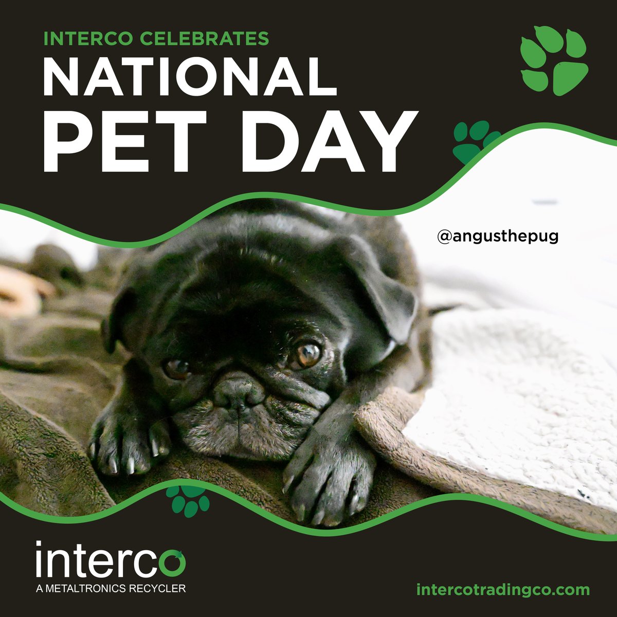intercotrading tweet picture