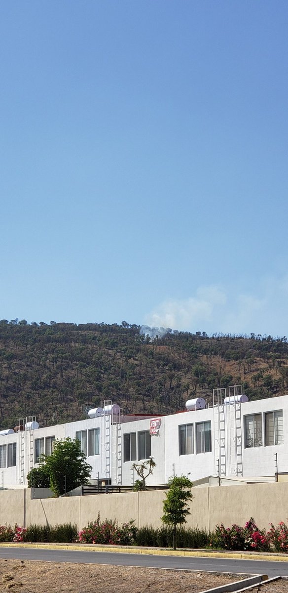 crlxst's tweet photo. @UMPCyBZ incendio en el bosque de la primavera en la zona del fortín https://t.co/dwsirszGXv