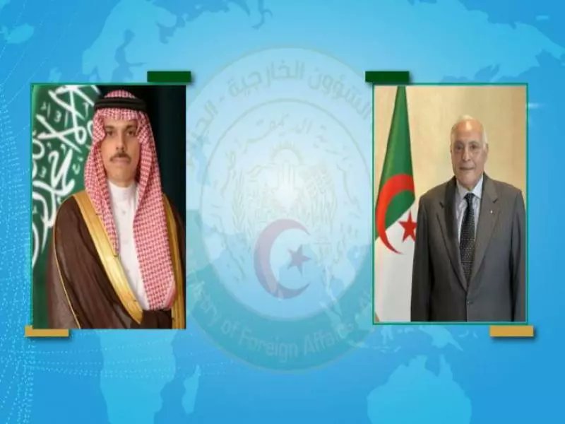 السيد عطاف يتلقى مكالمة هاتفية من نظيره السعودي

news.radioalgerie.dz/ar/node/43660