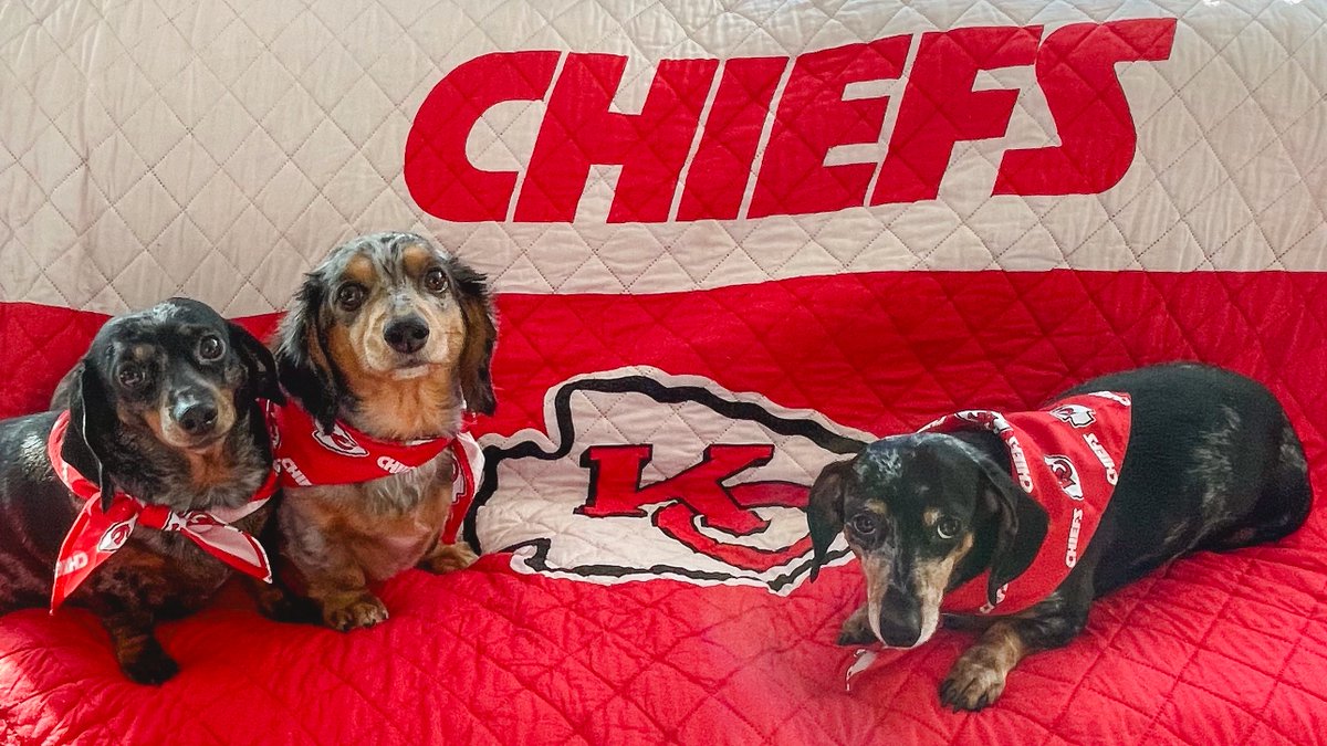 It's National Pet Day! 🐶🐾🐱 #ChiefsKingdom drop your furry friend(s) in the comments.
