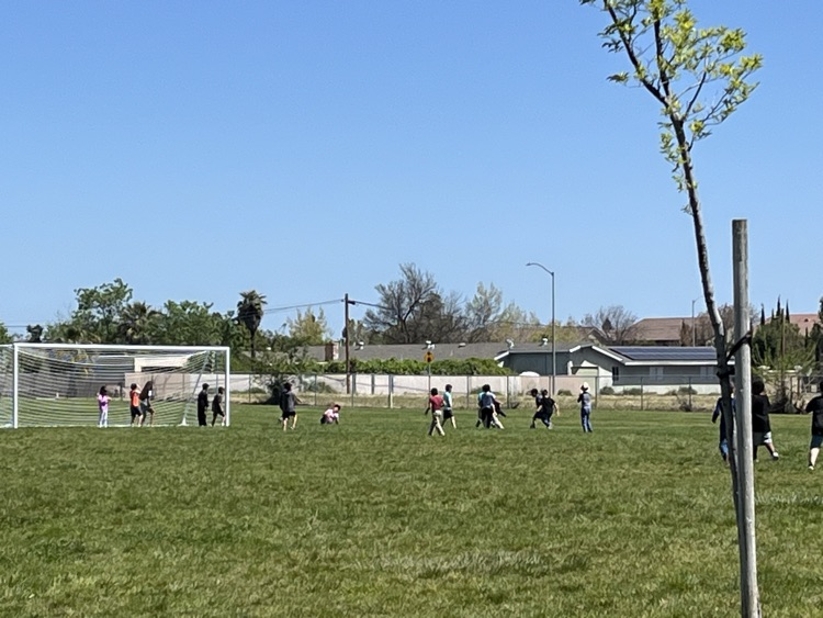 Casey McClure tweet media