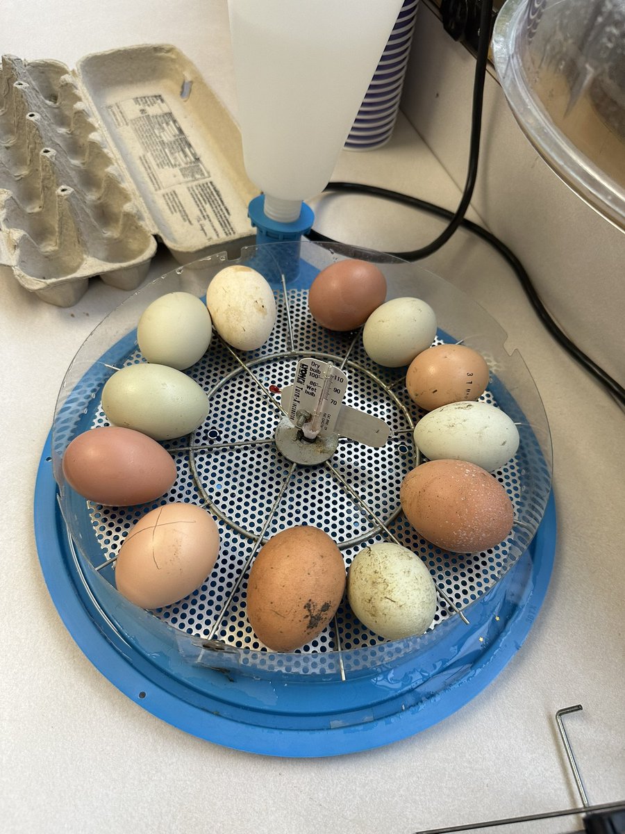 Karen Bevan tweet media