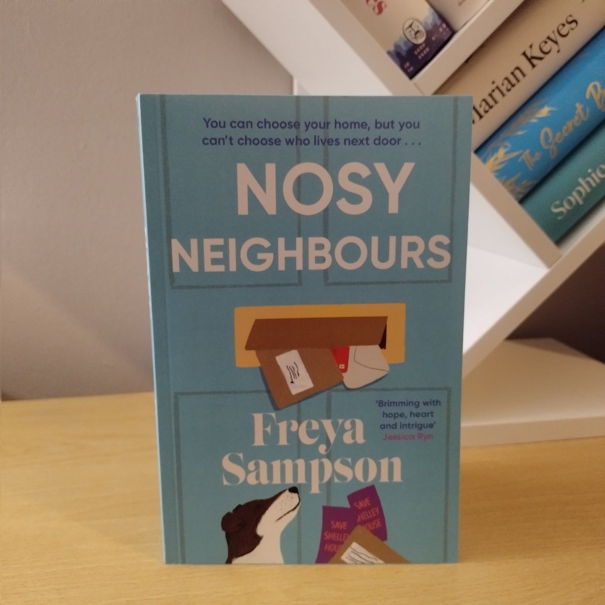 Thank you to whichever kind soul so kindly sent me a proof of @SampsonF #NosyNeighbours, she's going straight to the TBR Pile!