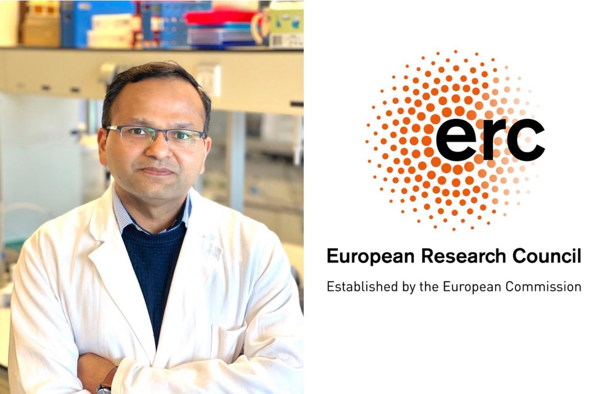 ERC Advanced Grant

I am highly honoured to announce that I have been awarded with the ERC Advanced grant of 2.5 million euro for 5 years to unravel the ECM remodeling in cancer and study its impact on immunotherapy in pancreatic tumor.