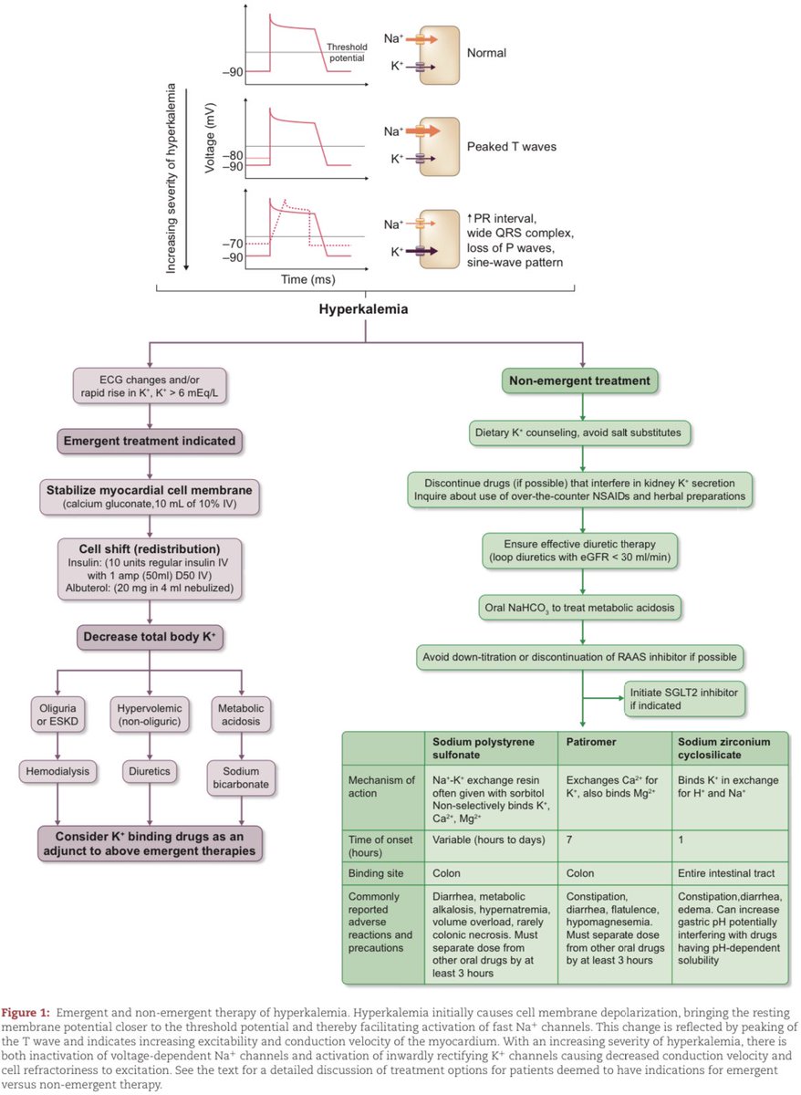 Terapias para la HIPERKALEMIA: Nephrol Dial Transplant 2024; DOI: doi.org/10.1093/ndt/gf…