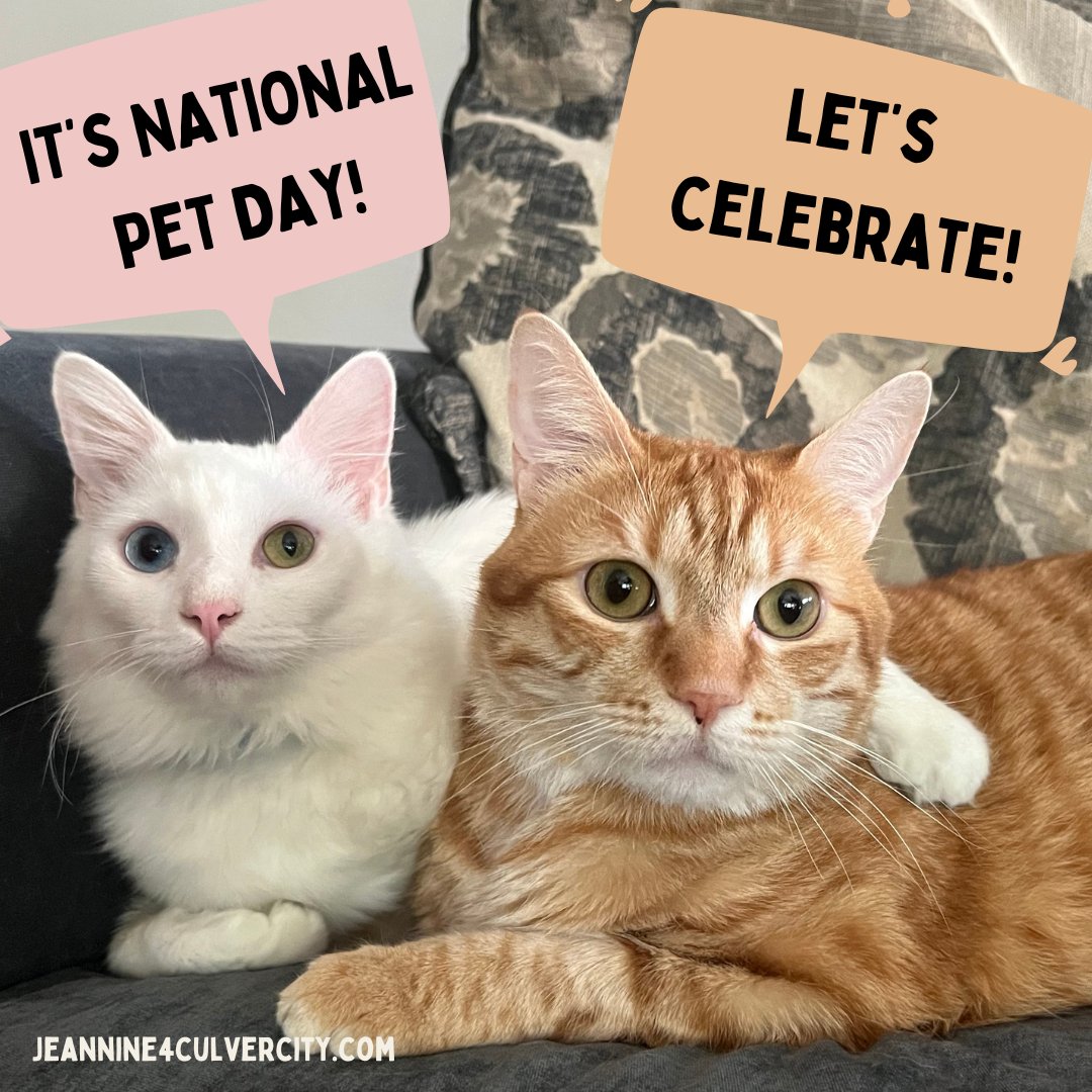 It's National Pet Day today. Please join me in celebrating all of the animal family members present and past who've loved us unconditionally. On this day consider making a contribution to your favorite animal rescue organization. #NationalPetDay #AdoptDontShop #culvercity