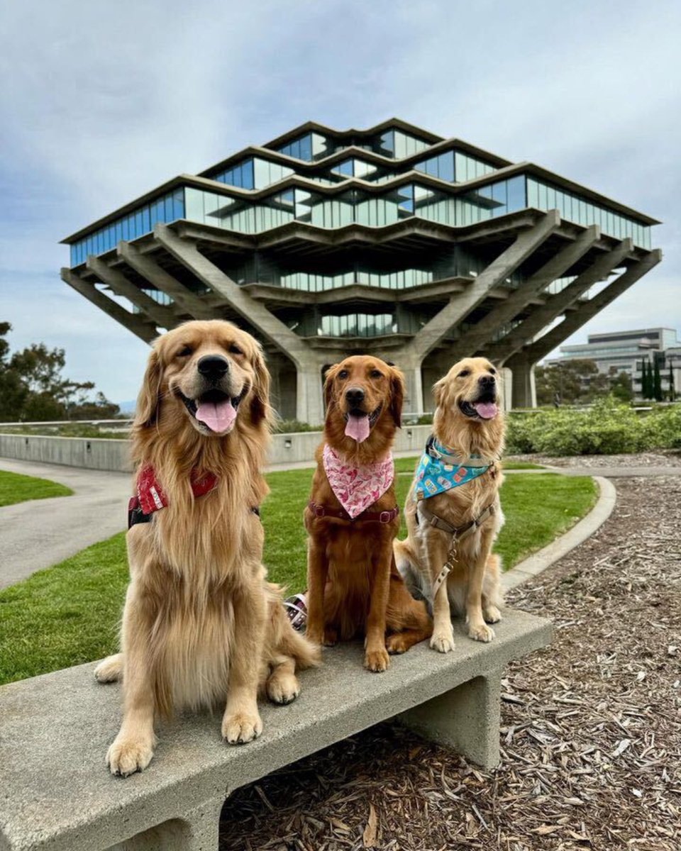 Happy National Pet Day to all of our beloved Triton companions! 🐈 🐶🦎 🐟 📷: @kyler_sandiego #NationalPetDay #HappyNationalPetDay #UCSD #UCSanDiego #PetsOfUCSD