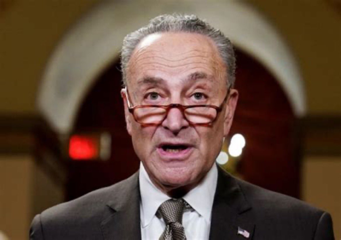 Chuck Schumer thinks MAGA is a cult of white supremacists. What do you think?