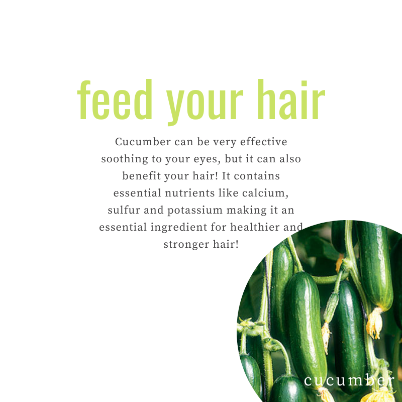 Cooling vibes for your tresses! 🥒💦 Cucumber Root Extract hydrates and soothes, leaving your hair refreshed and revitalized. To learn more about us and the ingredients we use, click the link in our bio! 
.
.
#ekoehbrasil #feedyourhair #hairfoodcolorcream #feedyourhair #vegan