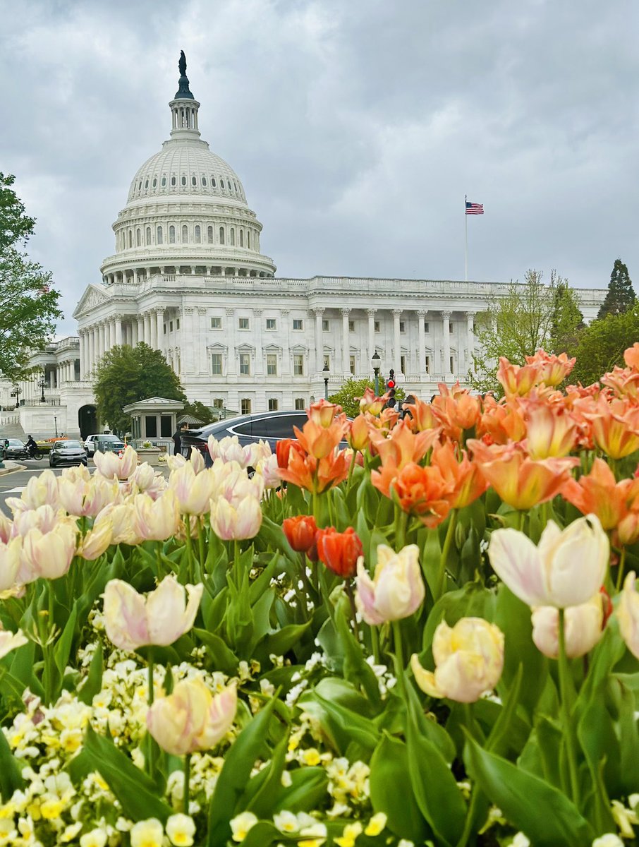 It’s a beautiful day in our nation’s capital.