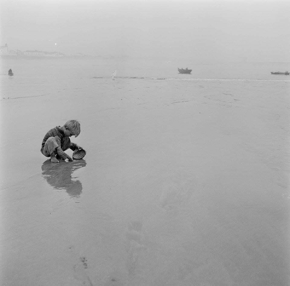 © Artur Pastor.