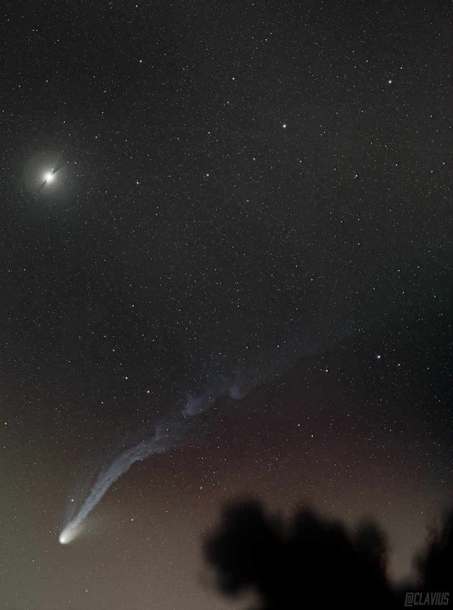 4月9日のポンス・ブルックス彗星（12P/Pons-Brooks）. 
いくつか撮影したものからフラット補正するも、薄明中のため処理が難しい. 
何より撮影中、双眼鏡で見たイオンテイルの広がりは感動的だった.  

#12P #Pons-Brooks  #comet #astro #astrophotographie #SierraGlamping #Durango
