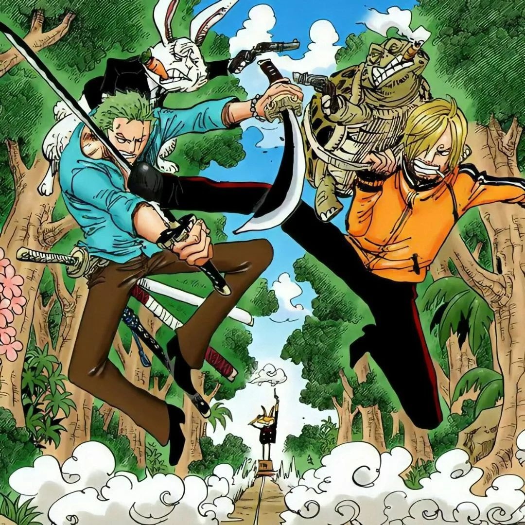 Zoro Daily tweet media