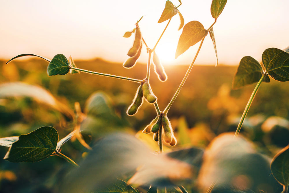 Consultive's tweet photo. The Australian Constructors Association (ACA) has released a report calling for systematic reforms to align with Australia's net zero ambitions. 

#BuiltEnvironment #Sustainability #RenewableEnergy #GreenBuilding https://t.co/Tx8TNyiyl2 https://t.co/0ND6C9QujL
