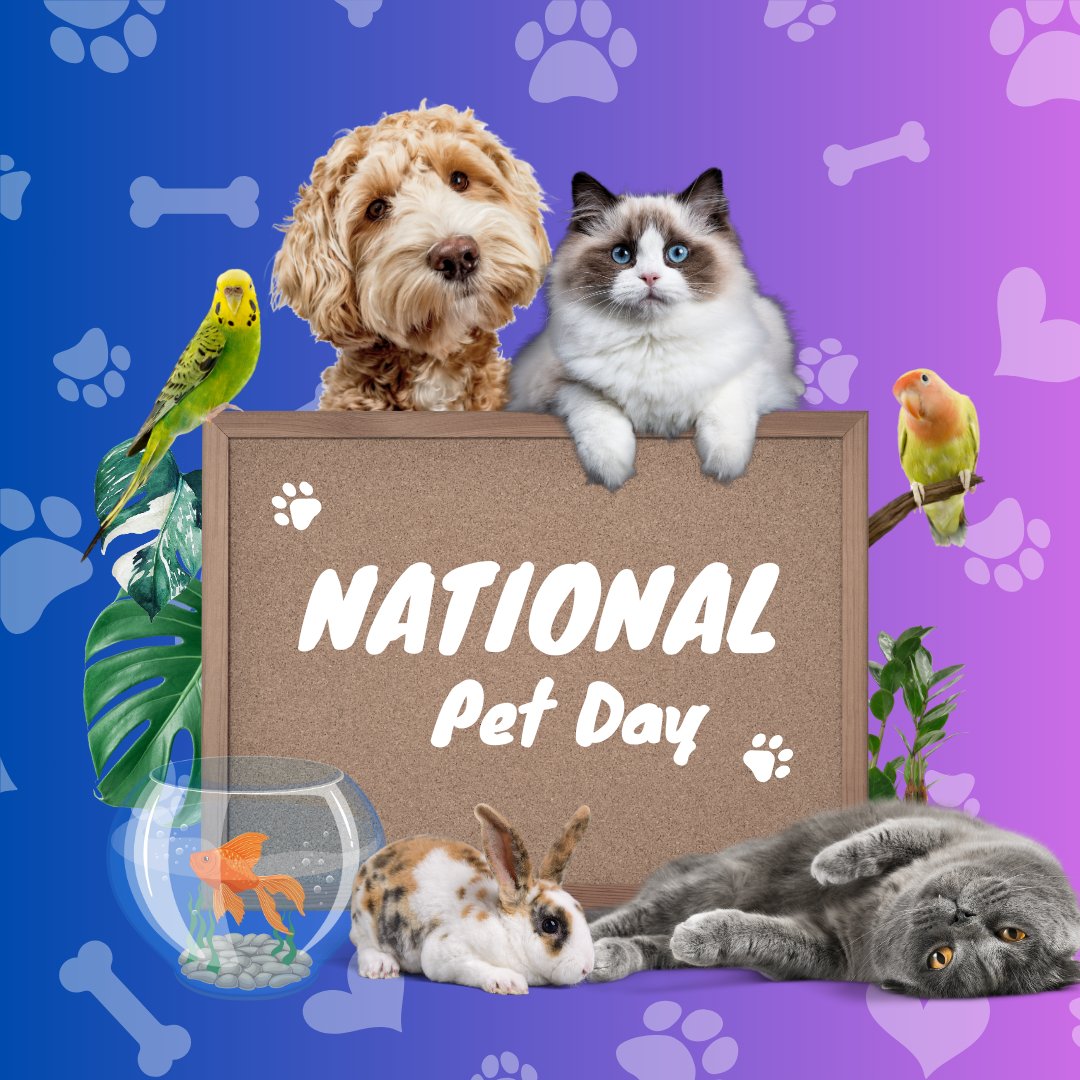 Today is National Pet Day. Give your furry (or scaly) pet some extra love today and make them feel special 🐾🐟🐍 #shadesofdevelopment #afterschoolalliance #knoxvilleafterschoolprogram #SHADES #tnafterschoolnetwork