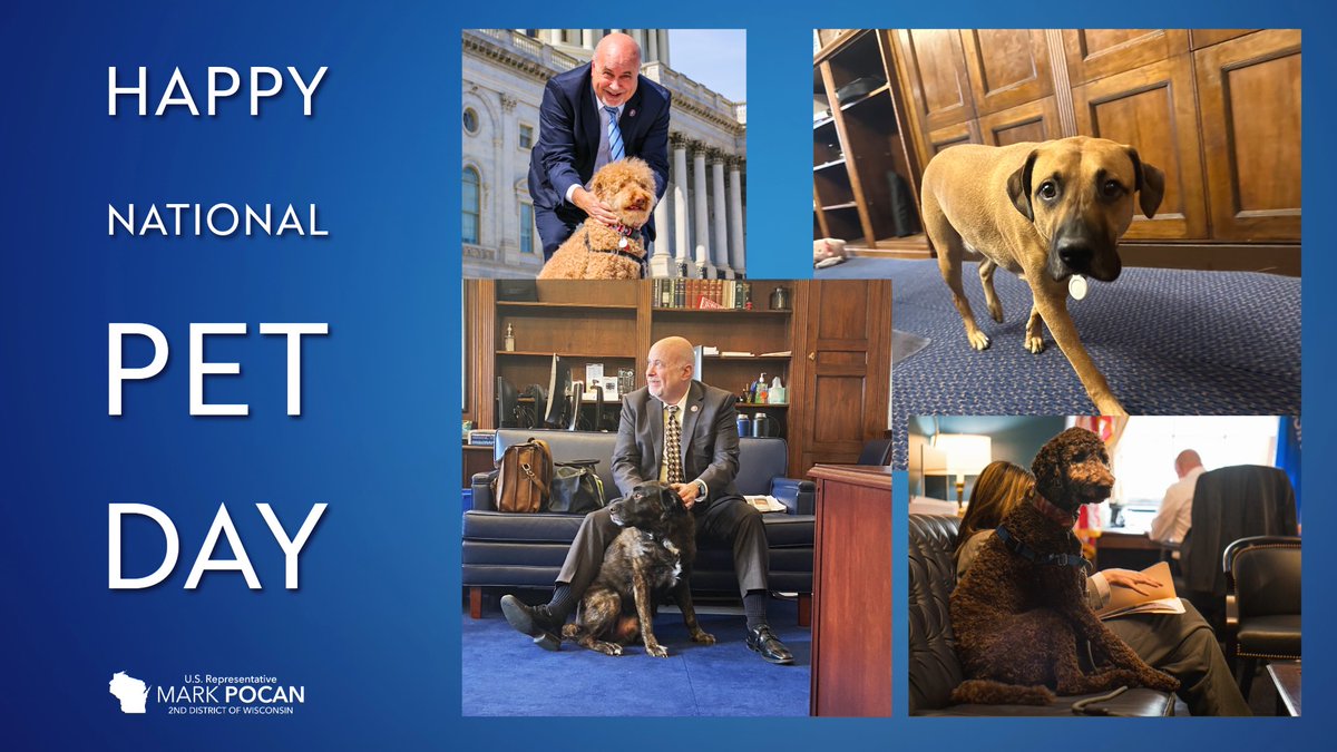 'If you want a friend in Washington, get a dog.' -President Harry Truman