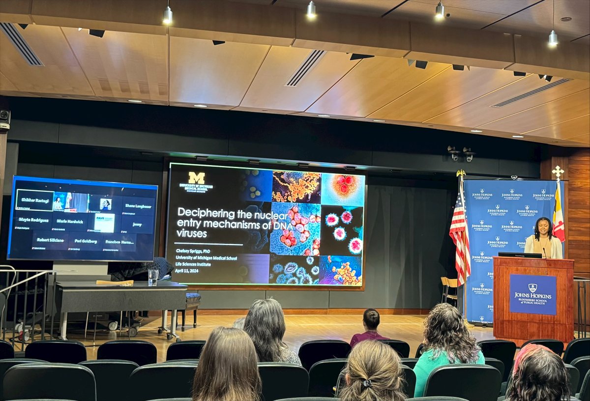 Thank you to our guest speaker Chelsey Spriggs @Dr_Sprggs for her fantastic talk this afternoon to @JohnsHopkinsMMI faculty & students @JohnsHopkinsSPH!