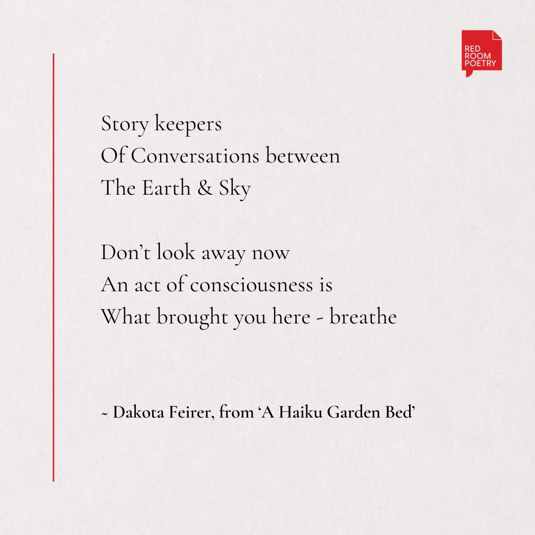 The United nations has elected the 5th of April 'International Day of Conscience': Dakota Feirer is a Bundjalung-Gumbayngirr man based in Dharawal and Yuin country on the south coast. You can read his poem 'A Haiku Garden Bed' in full here: loom.ly/_Sdm-uk