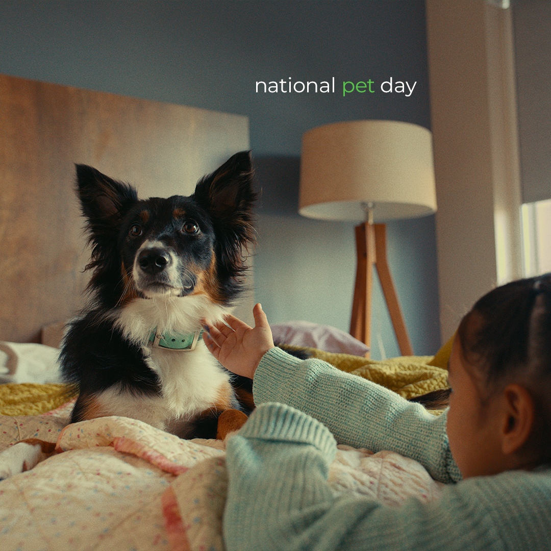 Happy #NationalPetDay! We welcome you to bring your loved ones with you to any of our pet-friendly extended stay hotels. 🐾 Learn more at esa.com/services-progr…
