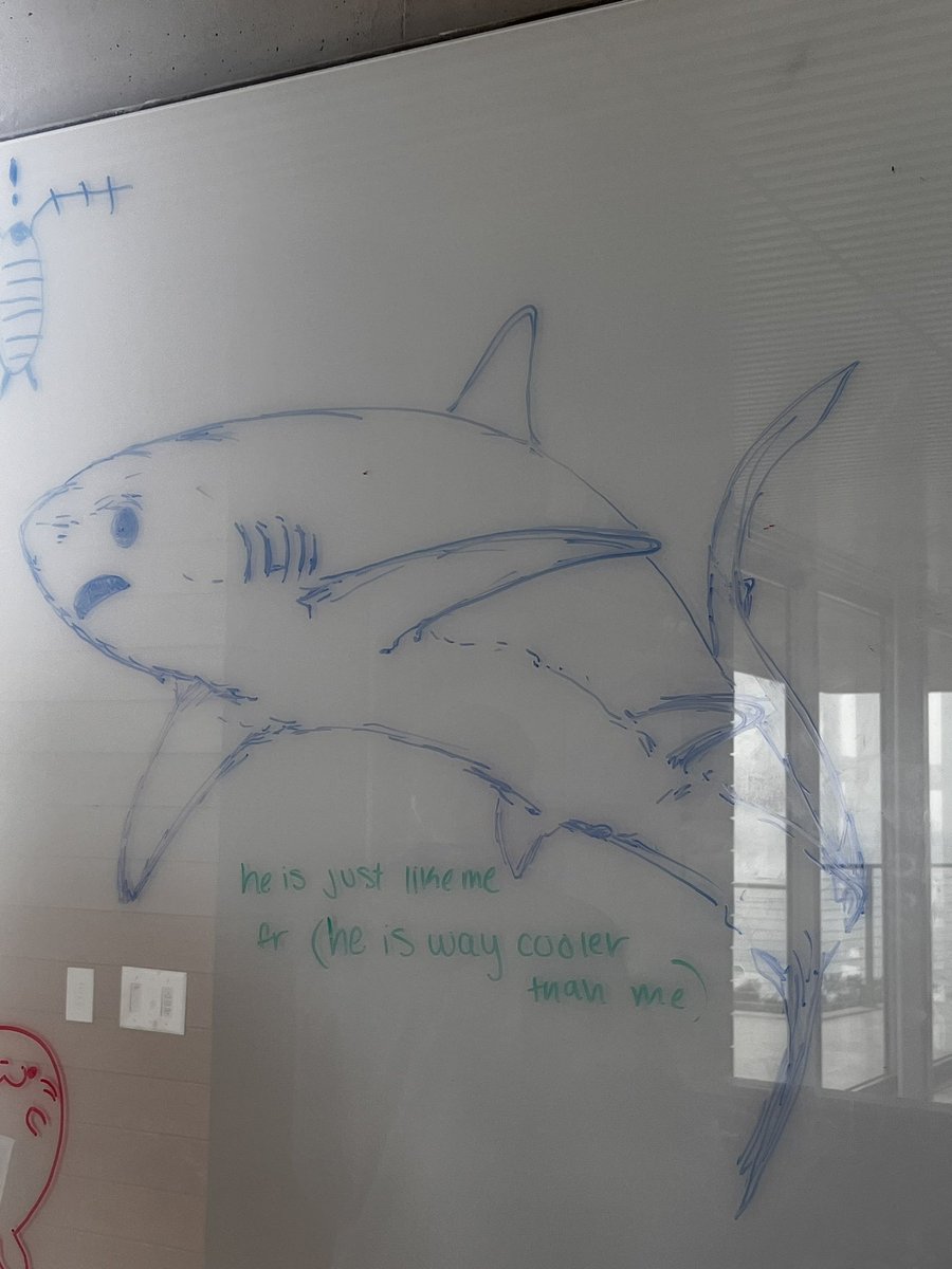 Some more whiteboard doodles of some new genera and a shark for good measure!!