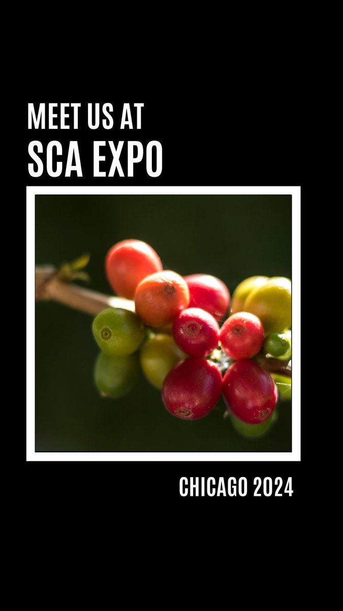 Cru Chocolate tweet media