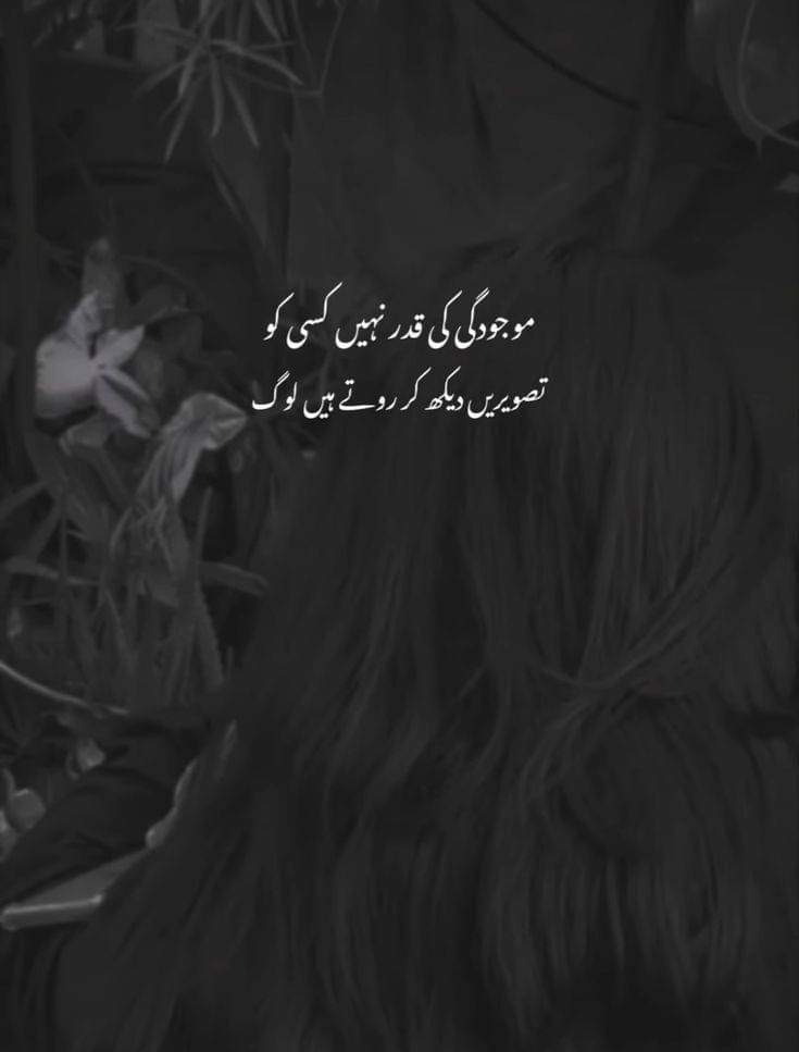Zahra Ahmad tweet media