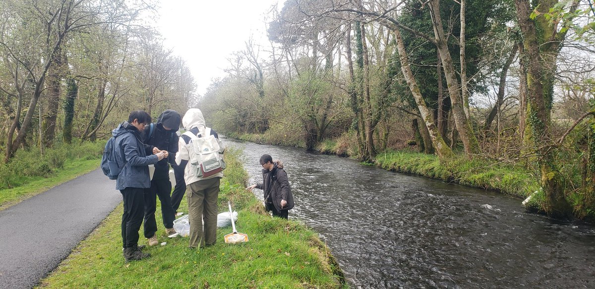 Stephen Hutton tweet media