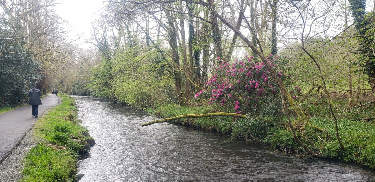 Stephen Hutton tweet media