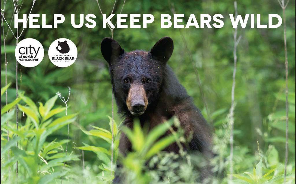 🐻 Let's keep our furry friends safe and our neighborhoods clean! Curbside collection items should be placed out between 5:30am-7:30am on collection day only to help avoid attracting bears to residential areas. 🌲Check out more tips at cnv.org/BearAware