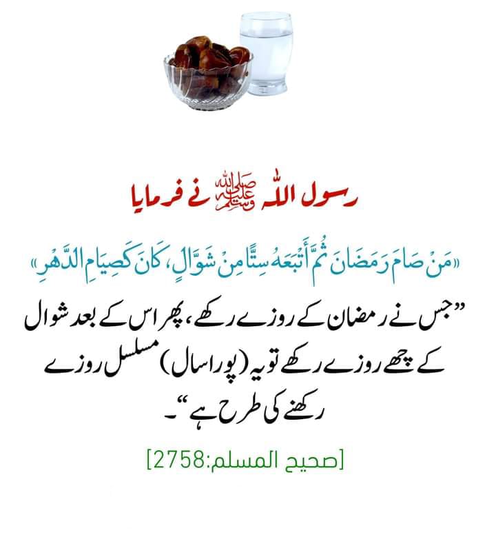 Assalm o allaikum