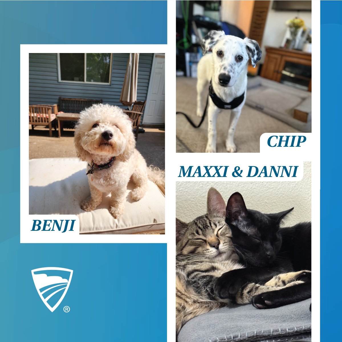 Happy National Pet Day! An entire day dedicated to the joy and companionship that pets bring to our lives. Enjoy these pet photos from our employees and share yours in the comments! 🐾🩵