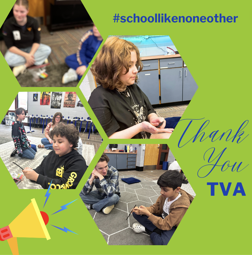 Lana Shelton-Lowe tweet media