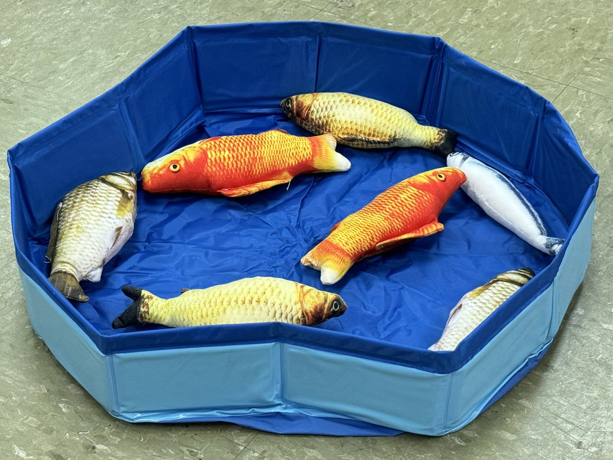 LaKeesha Turner, Ed.S. tweet media