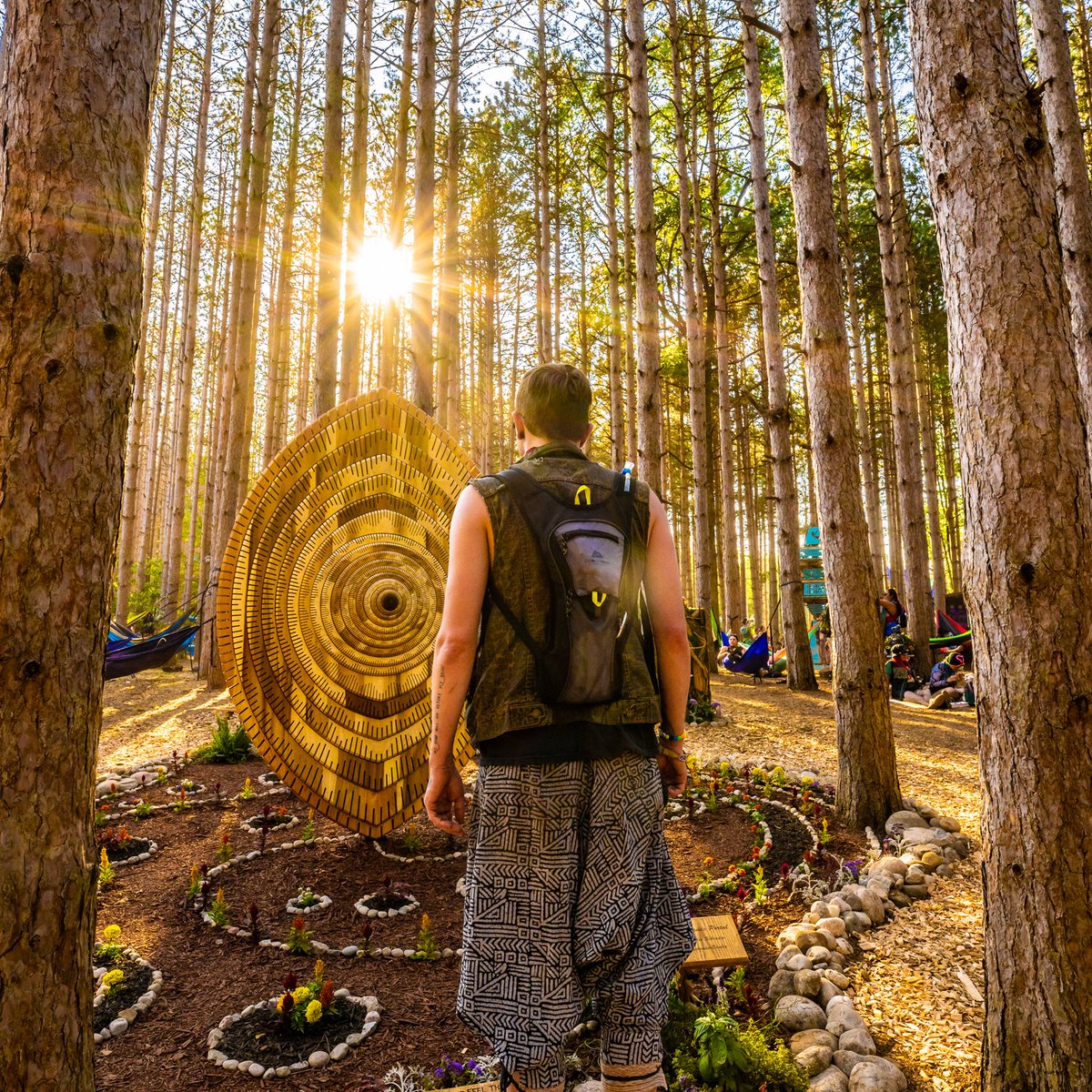 Electric_Forest tweet picture