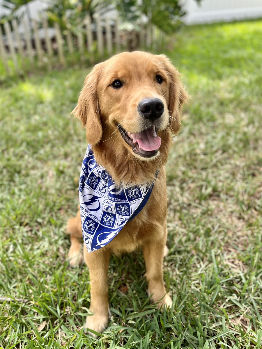 #GoBolts