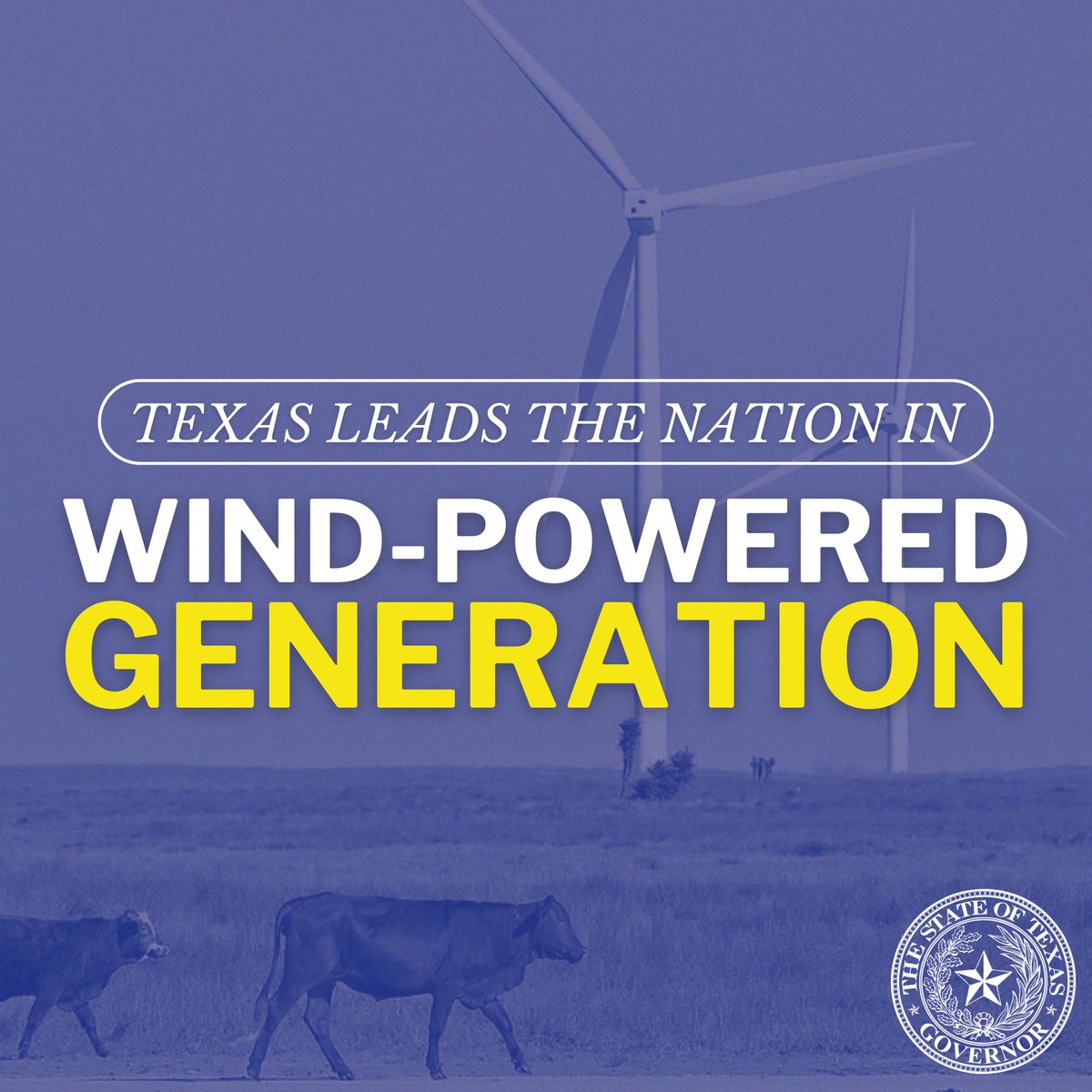 Texas is the national leader for wind-powered generation. Our all-of-the-above energy strategy will help cement Texas’ position as the energy capital of the world.