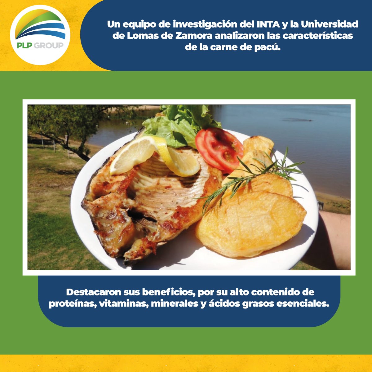 Leé la nota completa argentina.gob.ar/noticias/pacu-…